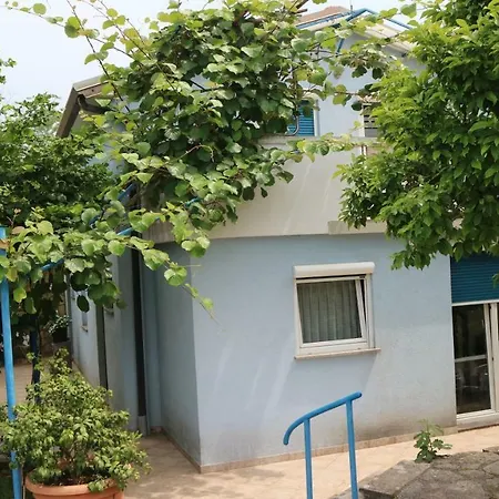 And V&m Πανσιόν Murine