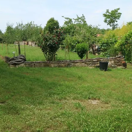 Guest house And V&m Murine
